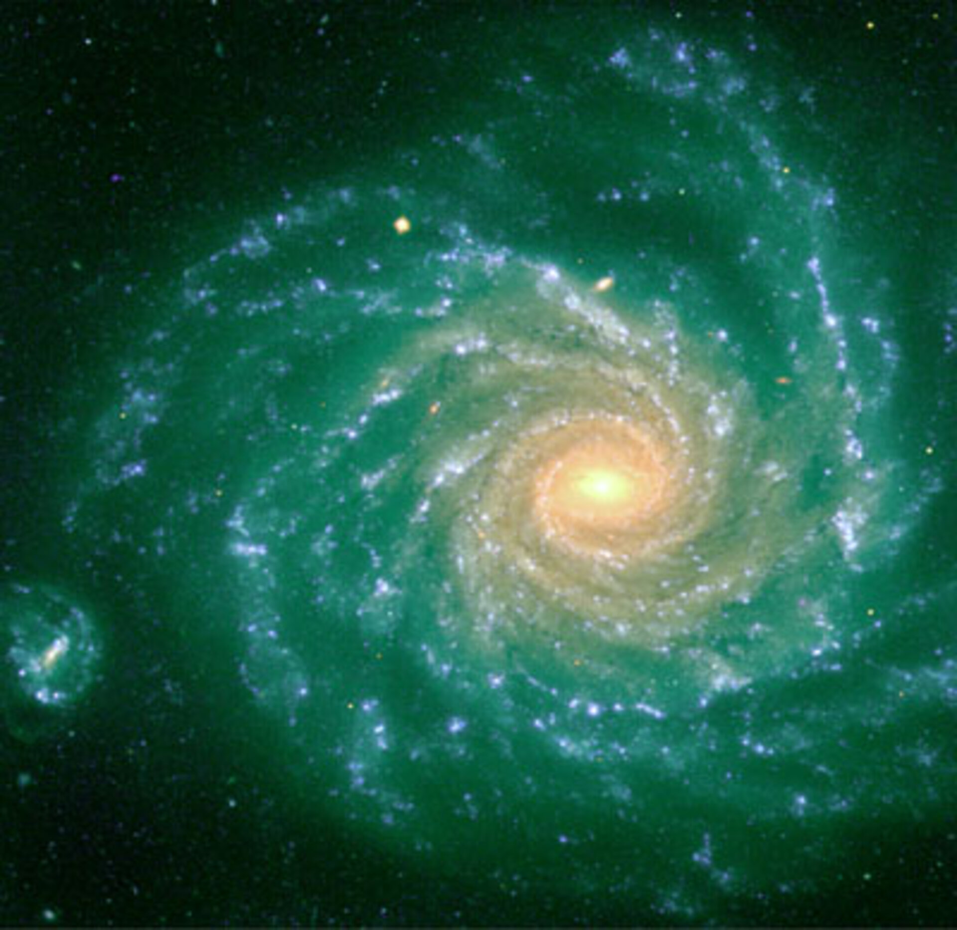 Spiral galaxy NGC 1232