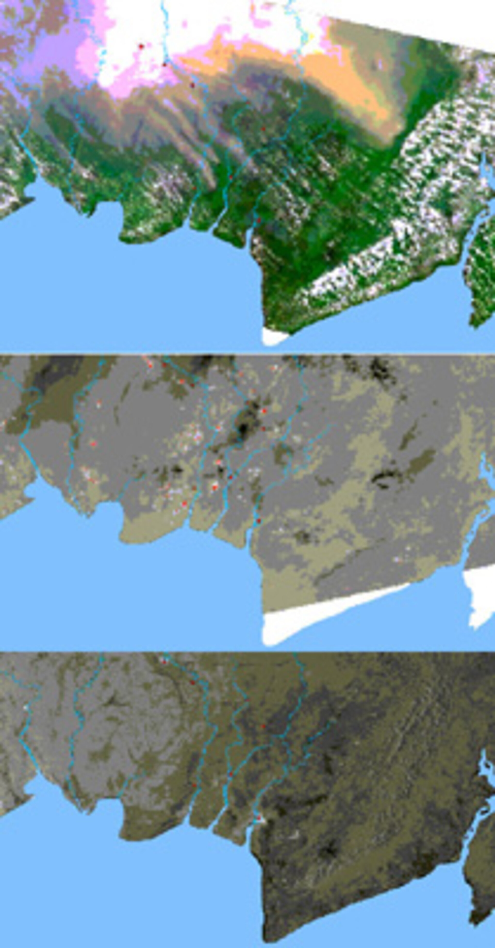 MERIS, AATSR and ASAR images of Borneo peat fires