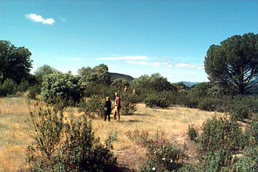 View of the lot to host the tracking station facilities and antenna