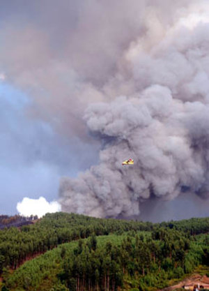 Fire rages in central Portugal