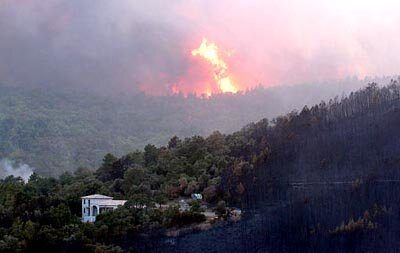 Flames in the forest near La Garde-Freinet