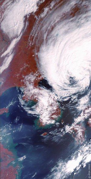 Typhoon Maemi - MERIS, 13 September 2003