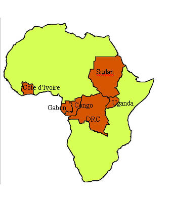 Afrikanske land som er berørt av Ebola-viruset
