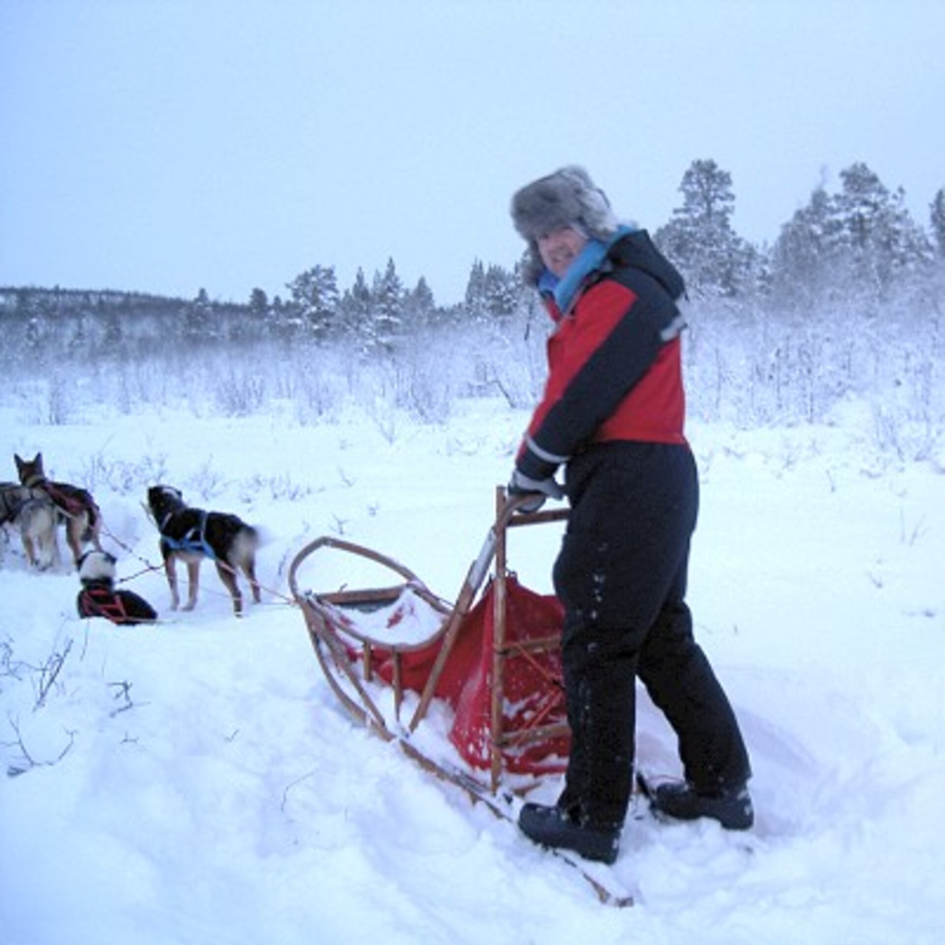 André Kuipers dog sledging during his holiday in Sweden