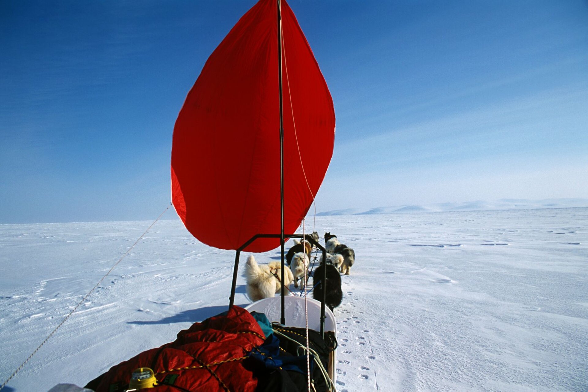 En quatre ans, 12 000 km dans le grand nord sibérien.