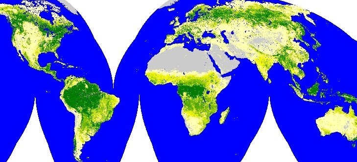 Global tree cover map