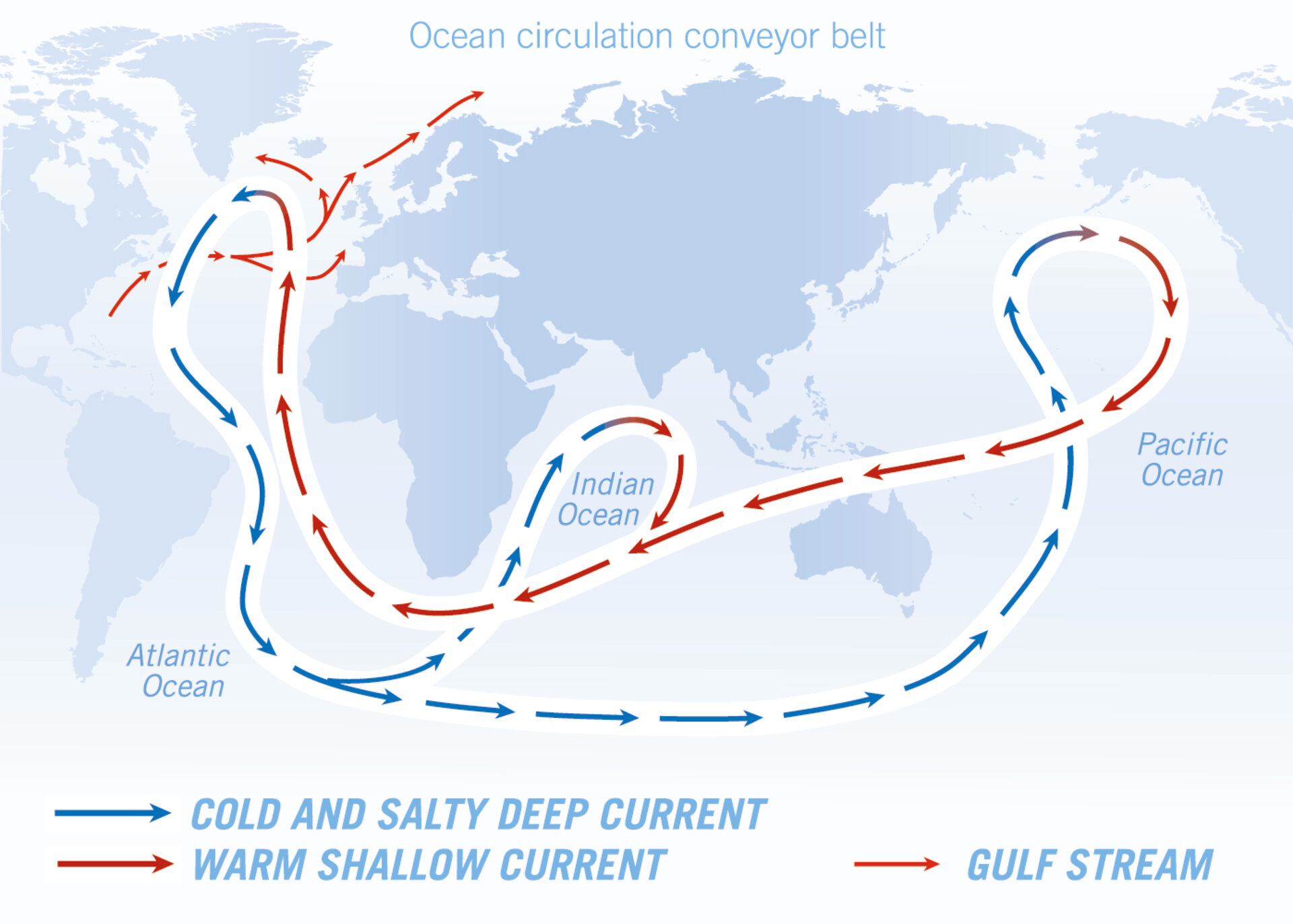 Ocean circulation conveyor belt