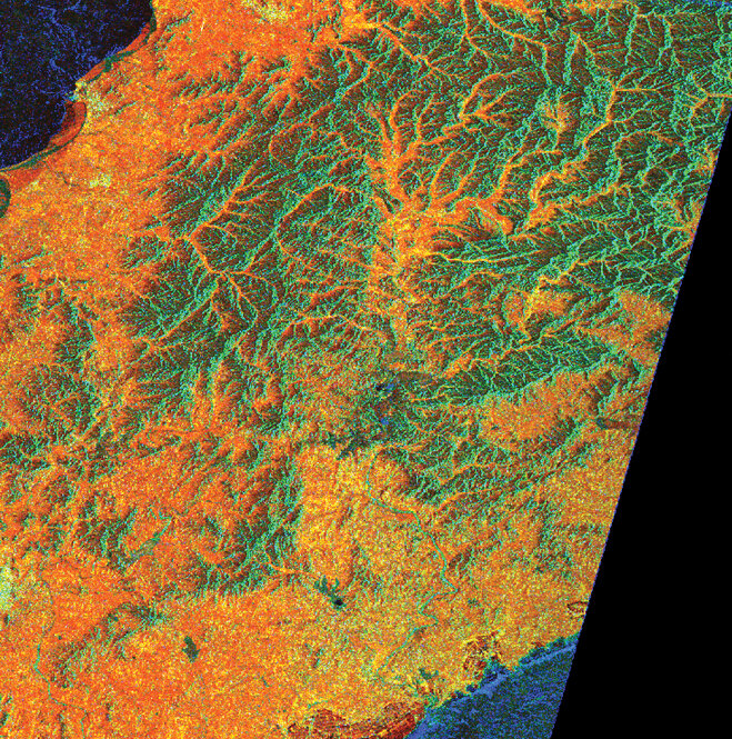 Immagine radar di aree di foresta cinese