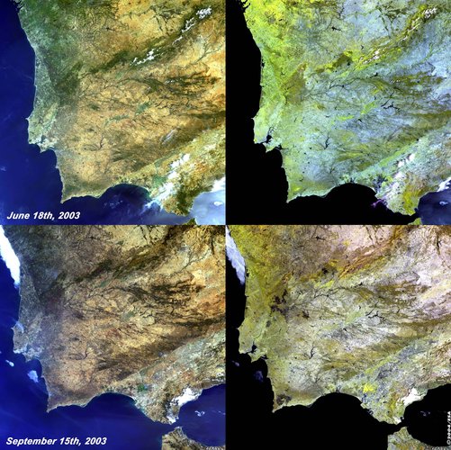 Algarve Fires - MERIS, 18 June and 15 September 2003