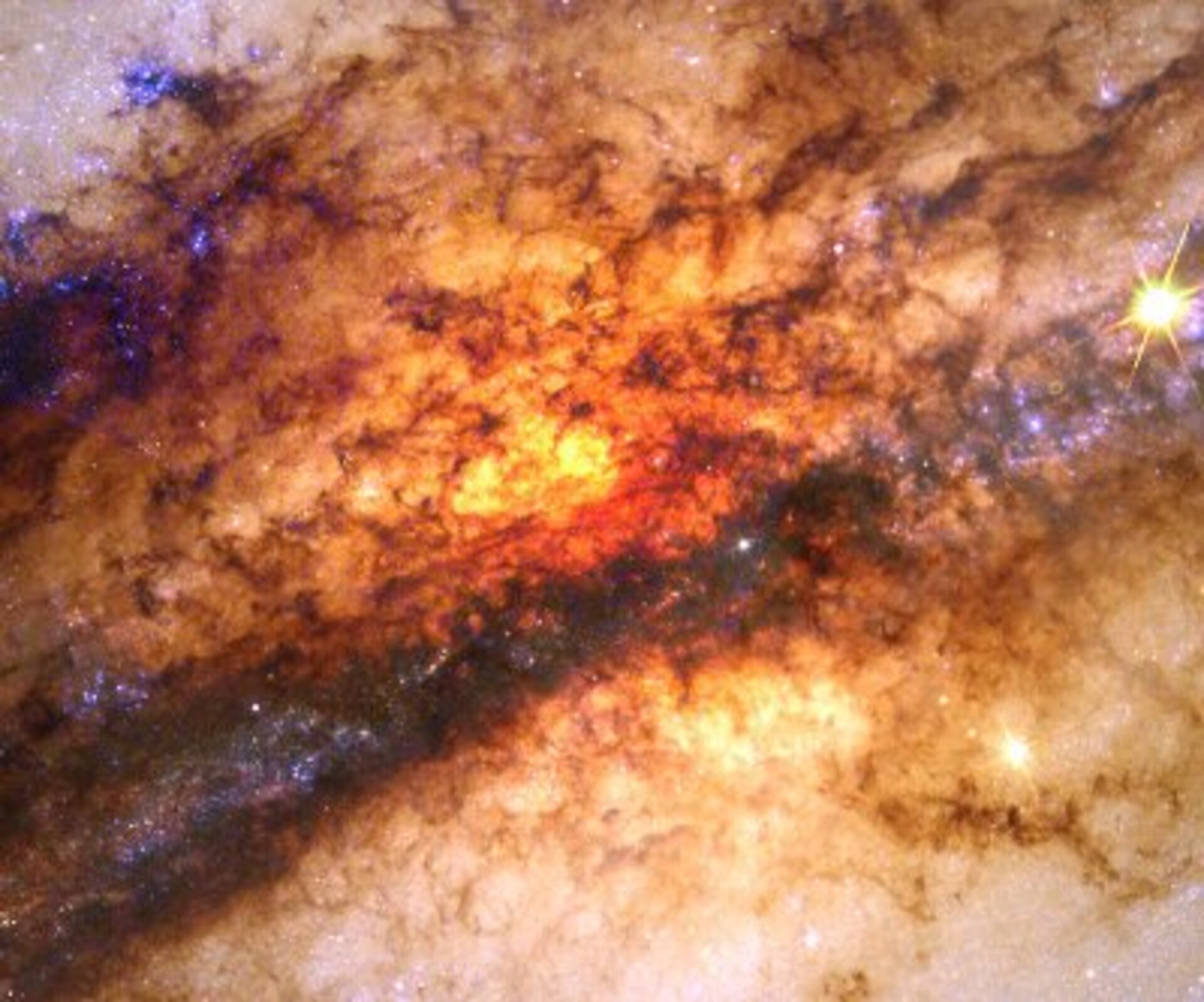 Cauldron of starbirth in nearby active galaxy