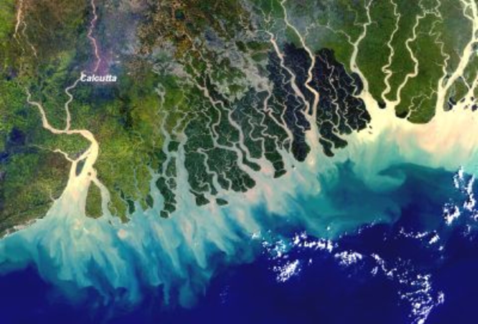 MERIS image of the Ganges delta,  India/Bangladesh