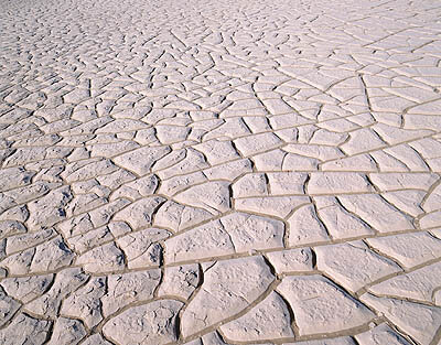 La desertificazione coinvolge circa il 40% delle terre emerse, comprese alcune aree del bacino del Mediterraneo