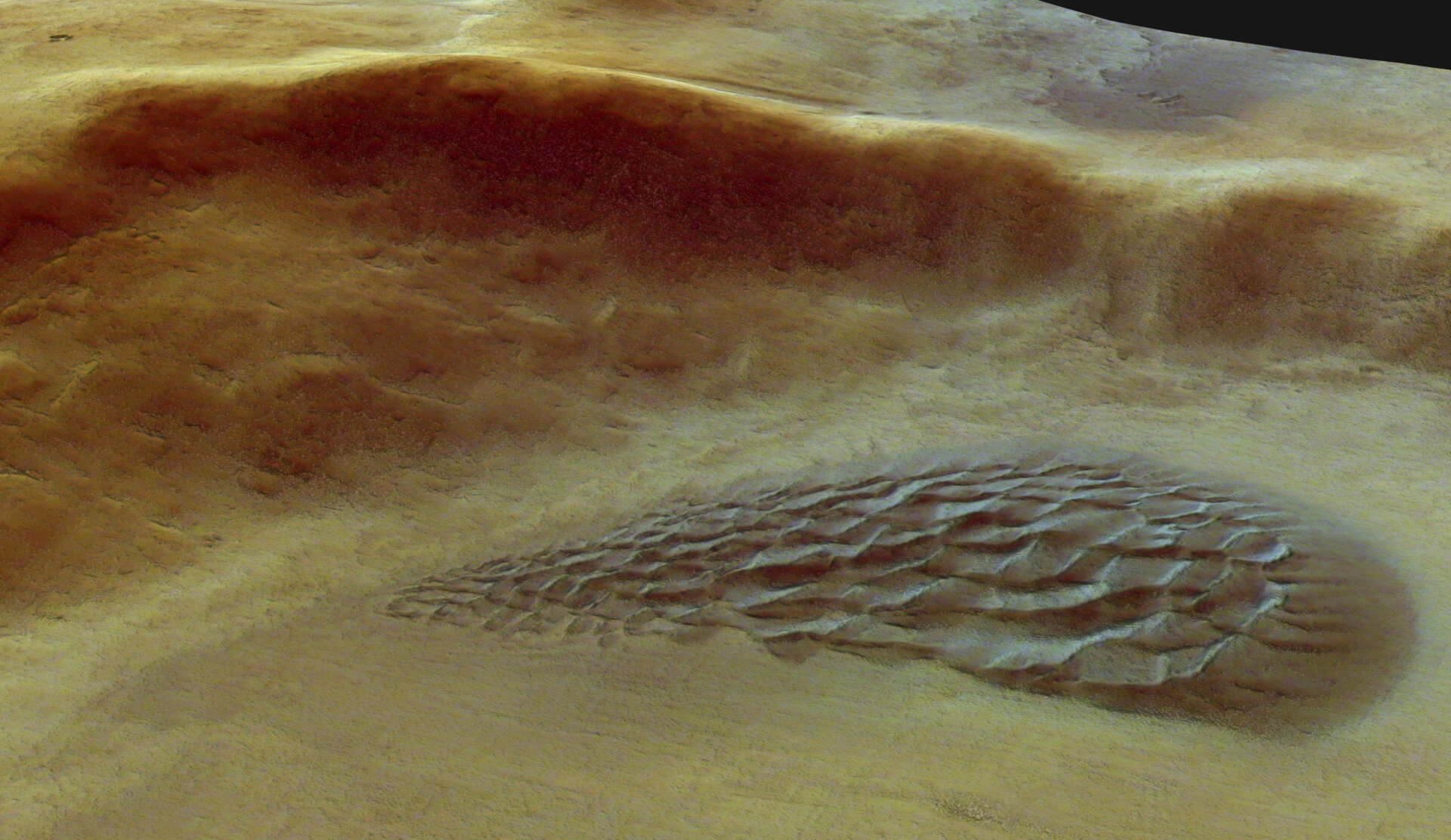 Close-up of the dune field