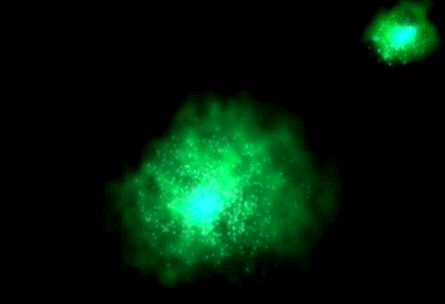 Impresión artistica de la colisión entre dos cúmulos de galaxias