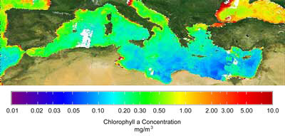 Un esempio della potenza di calcolo condiviso Grid: una panoramica dei cambiamenti del livello di clorofilla nel Mediterraneo e le popolazioni di fitoplancton