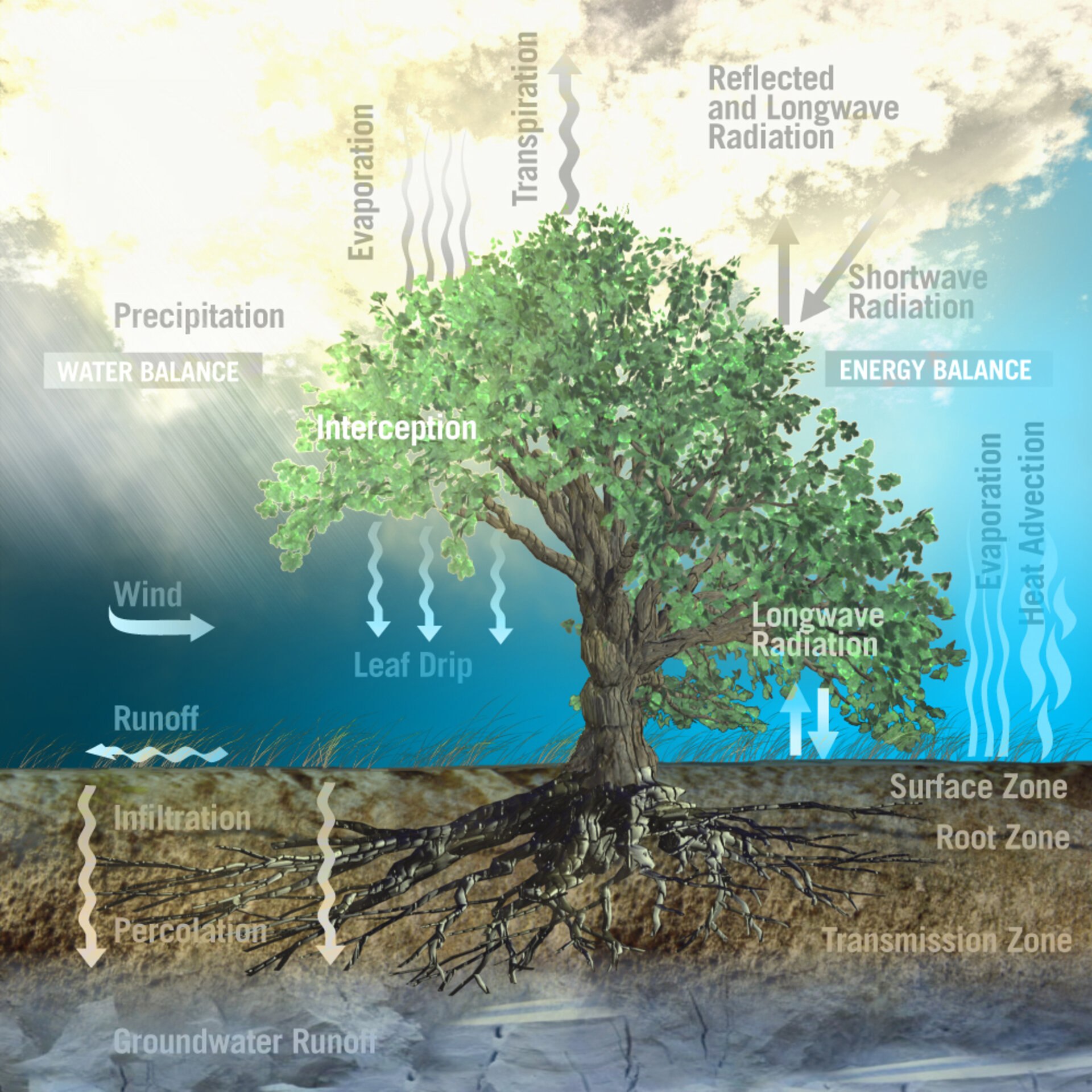 Terrestrial and atmospheric components of the water cycle