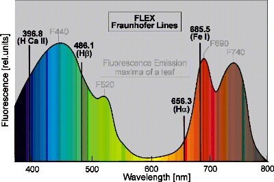 Fluorescence emission spectrum with Fraunhofer Lines