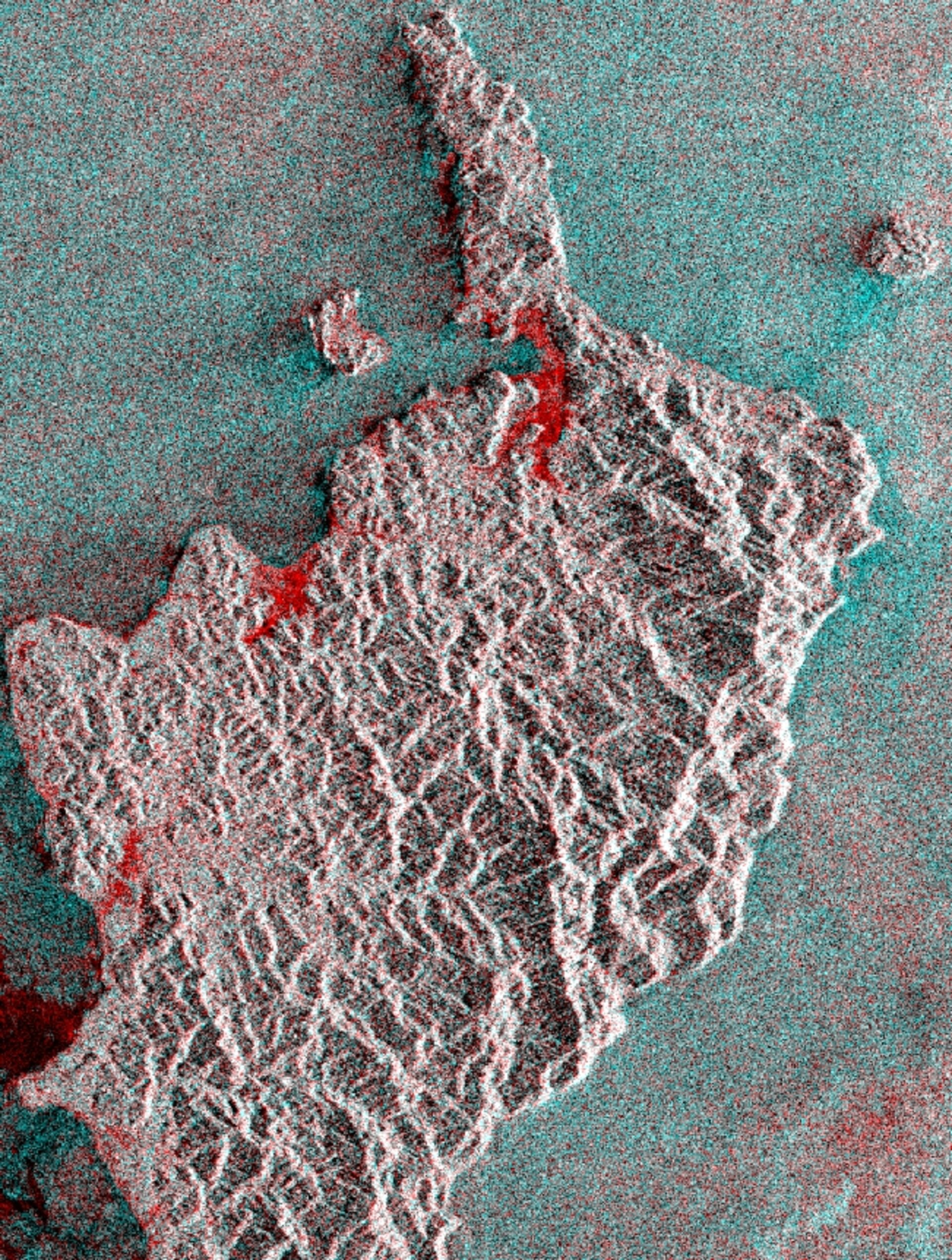 ERS-1 and -2 composite highlighting tsunami damage