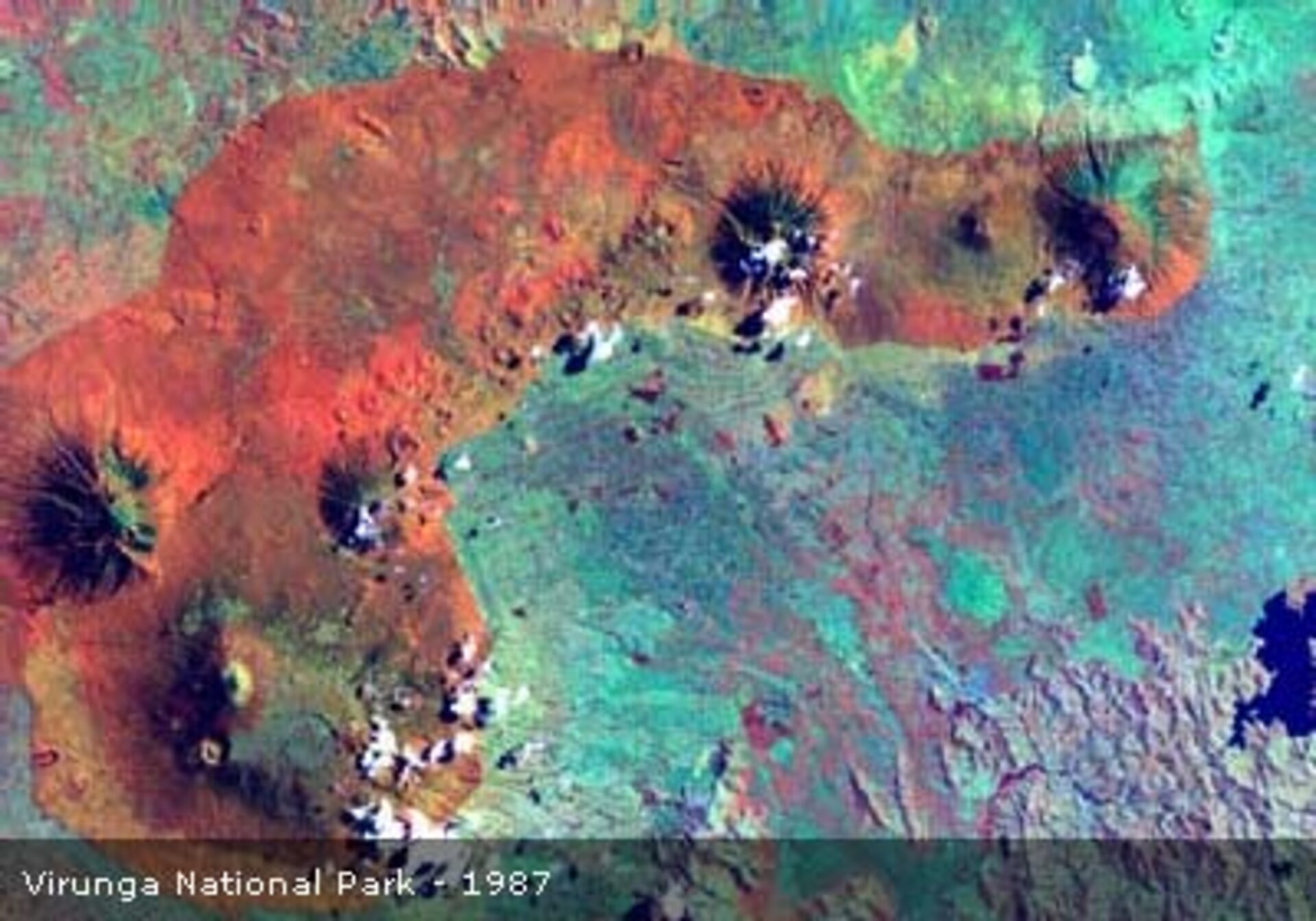 Satellite images highlighting land cover change in Virunga