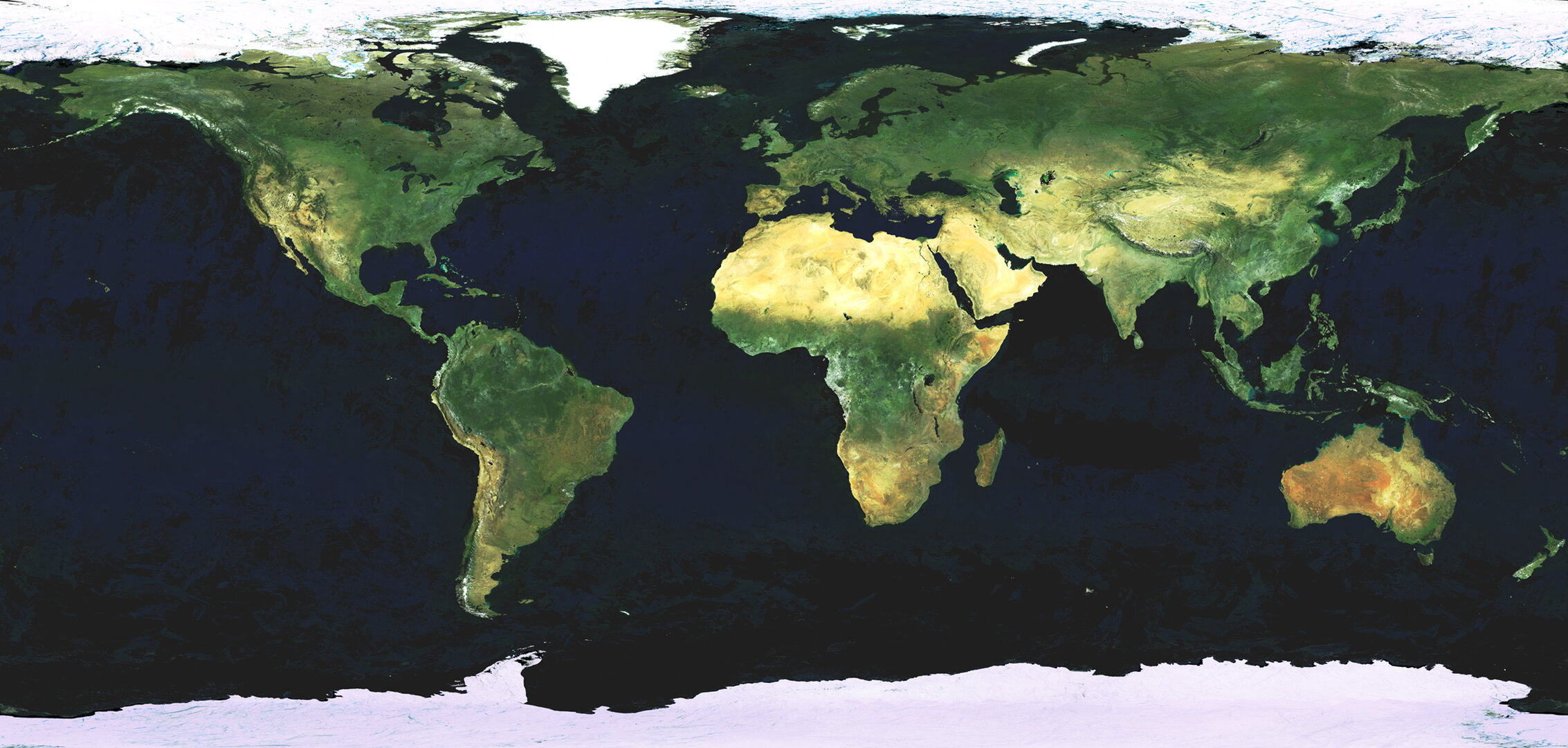 Kaart op basis van MERIS-foto's gemaakt tussen mei en november 2004