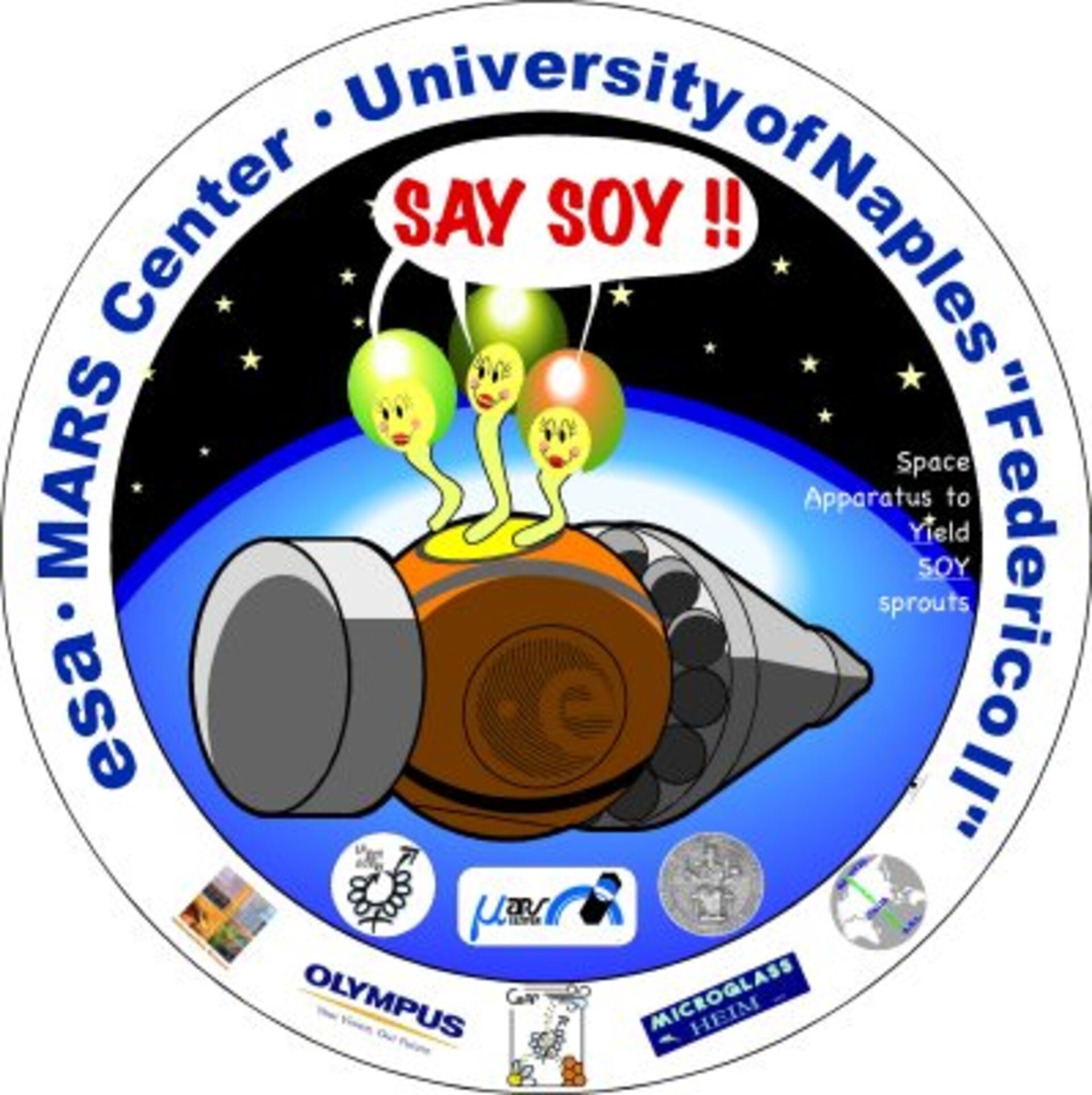 Logo SAYSOY experiment