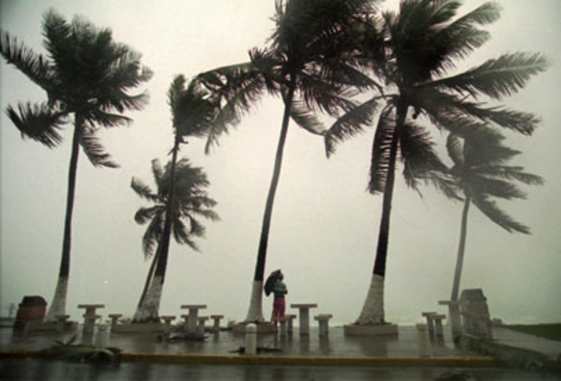 Hurricane Luis