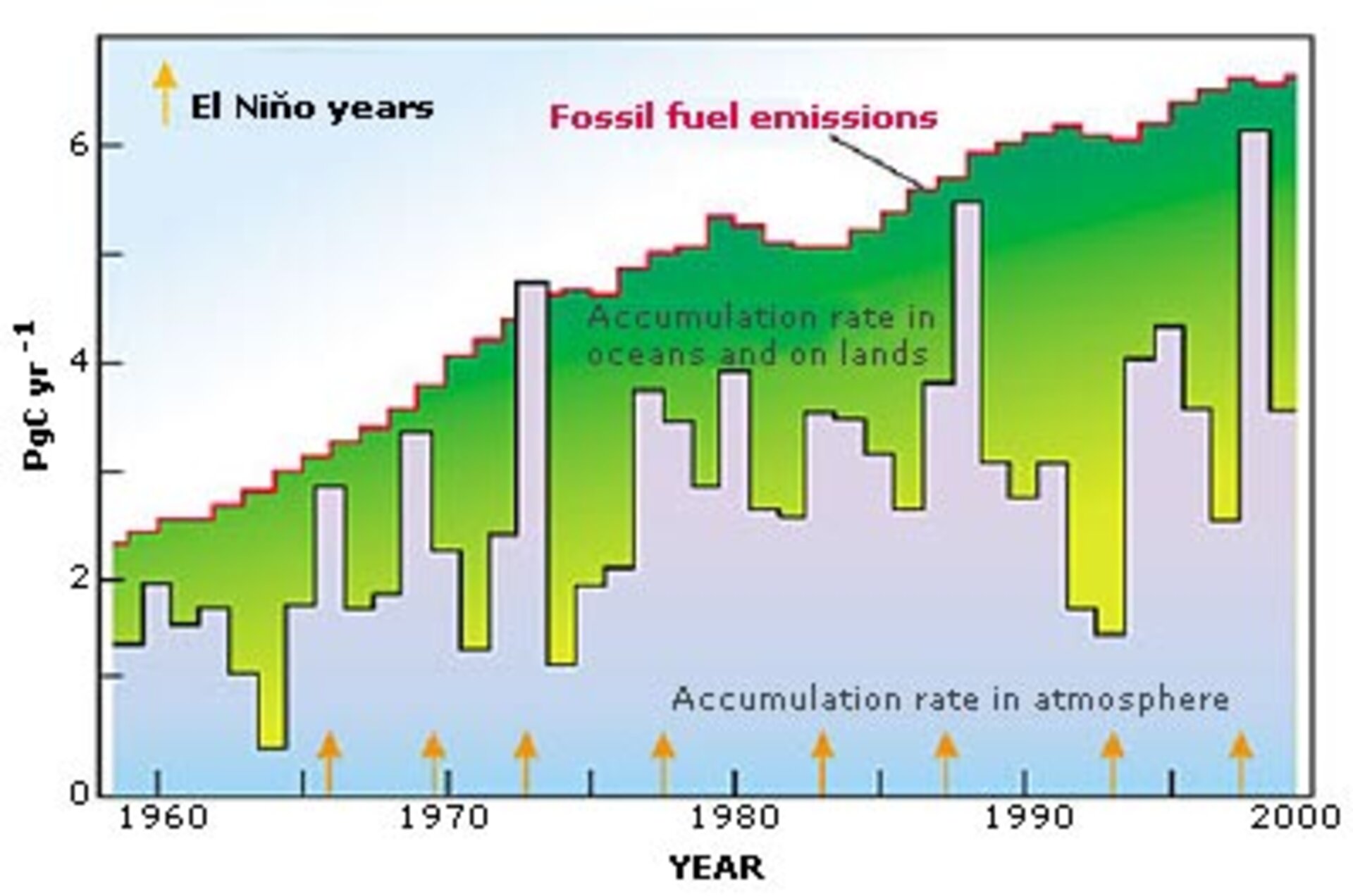 Not all carbon humans put in the air stays there