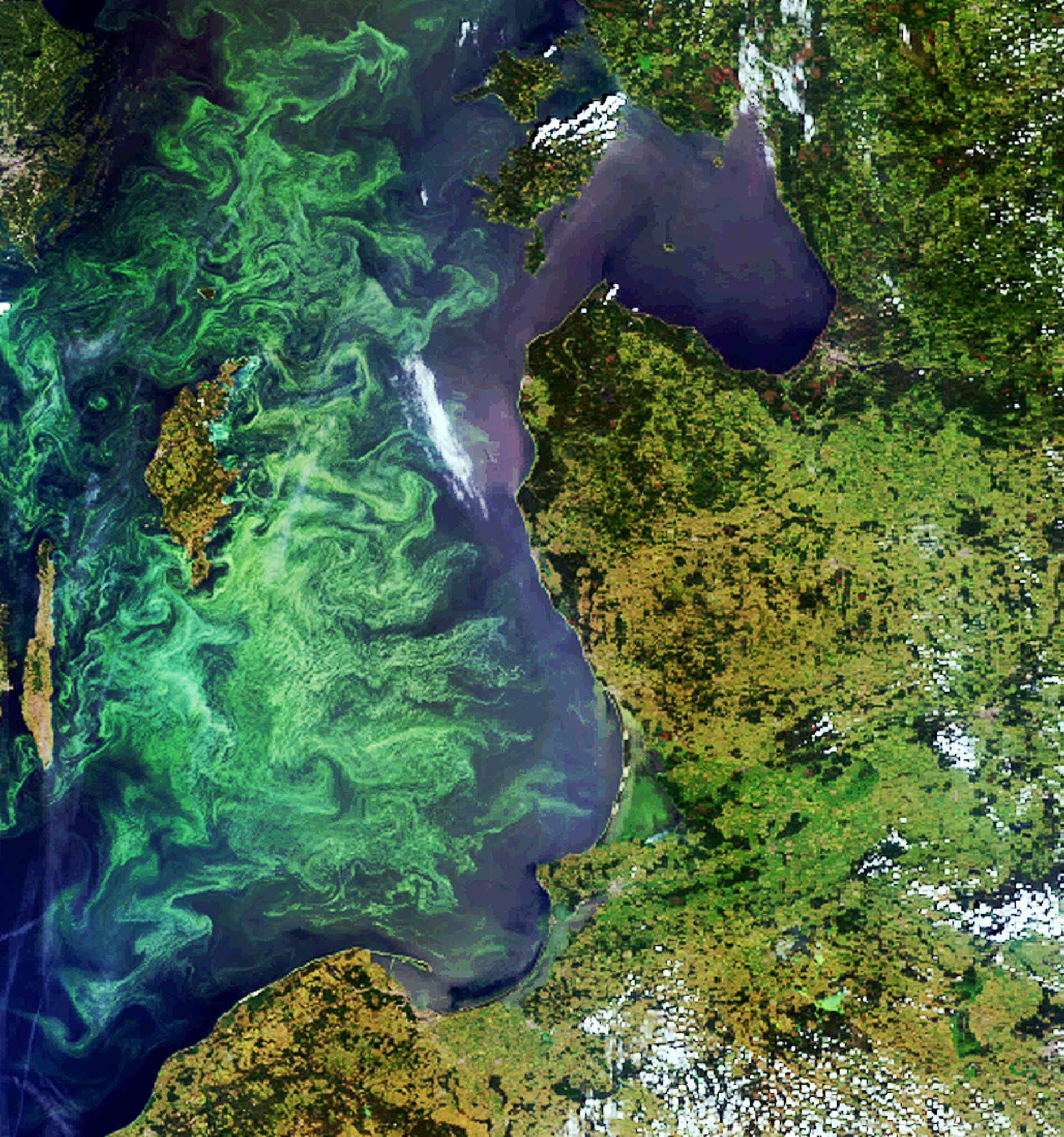 Med hjälp av satellit går det att följa algblomningarna i Östersjön. På så sätt kan man varna bådfe allmänhet och sjöfart.