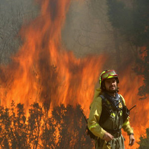 Fighting the Guadalajara forest fire