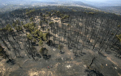 La devastación de Guadalajara después de el incendio