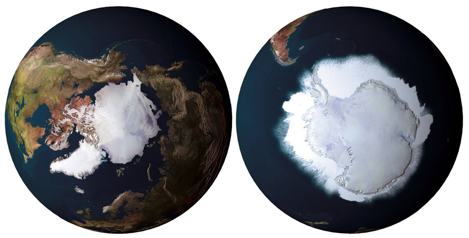 Polar ice cover