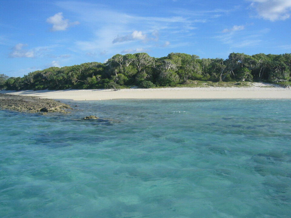 Heron Island