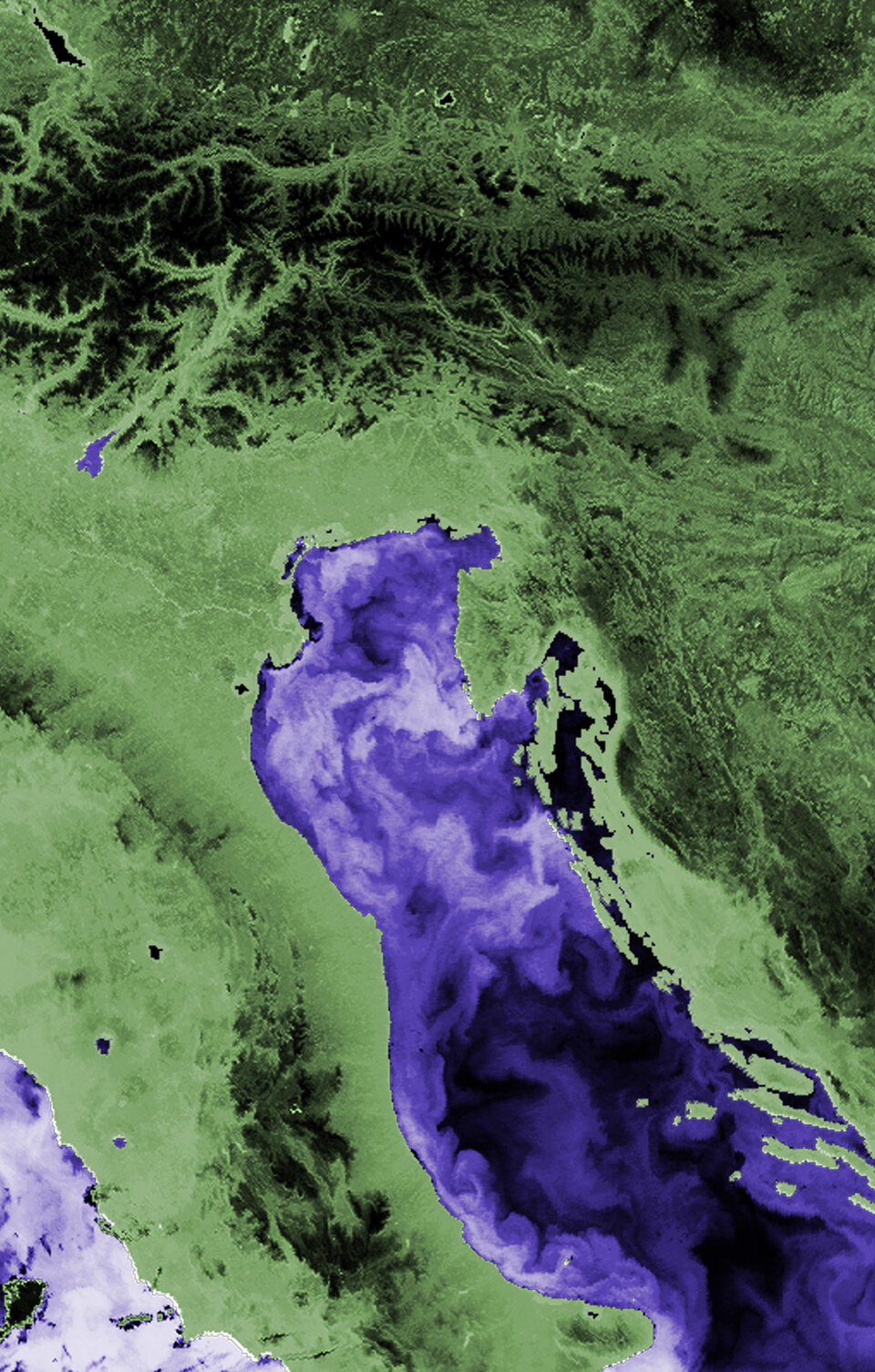 Northern Italy and the Adriatic from Envisat