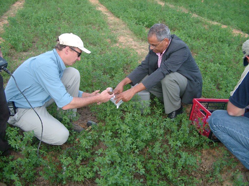 Crop soil sampling