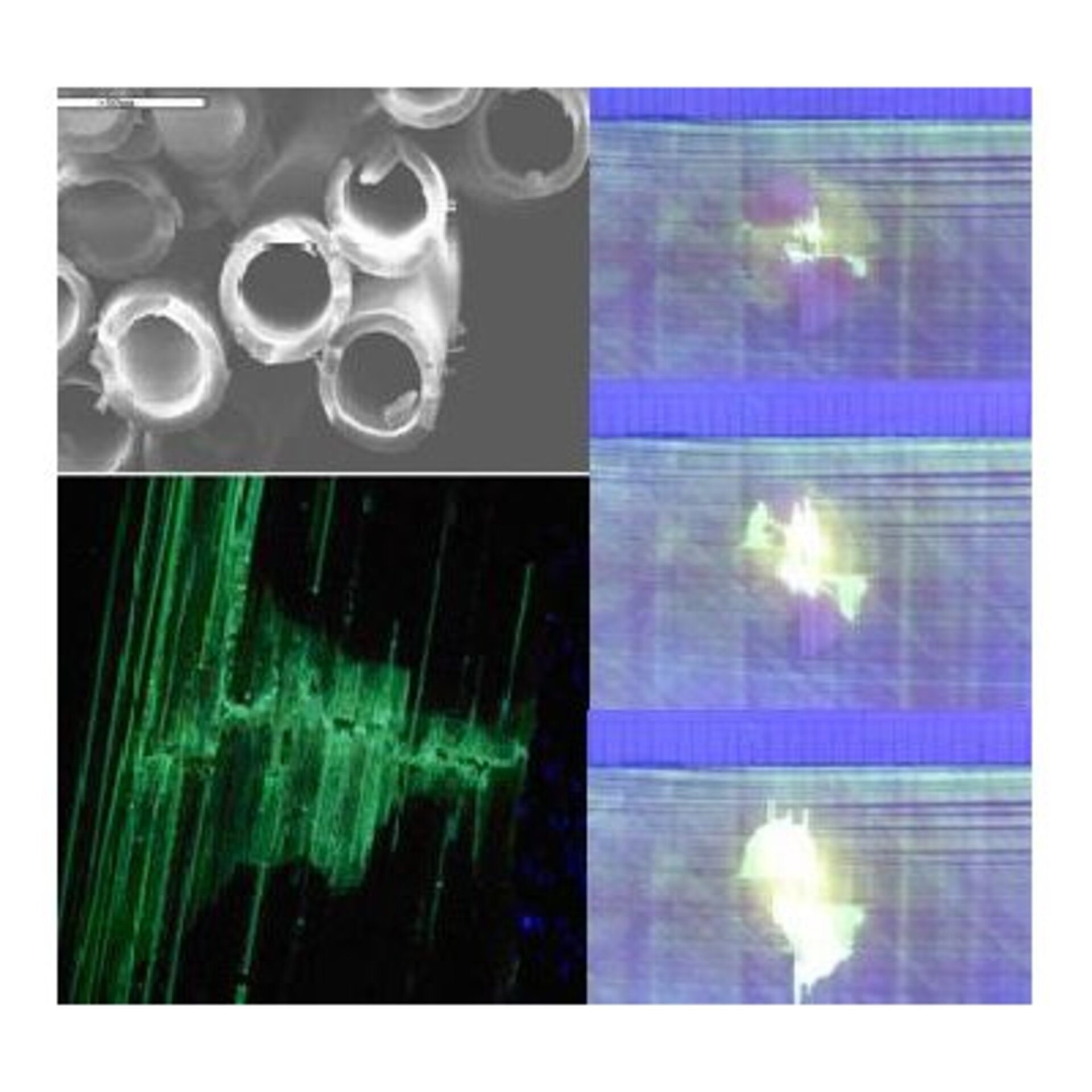 A time lapse sequence of self-repair taking place