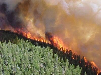 Fires release vast amounts of carbon