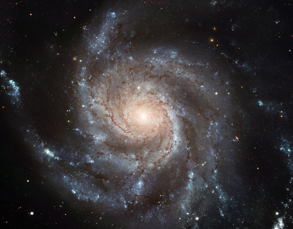 Modern spiral galaxies were once irregular