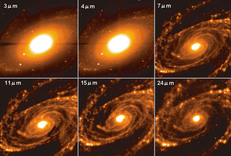 AKARI’s views of galaxy M81