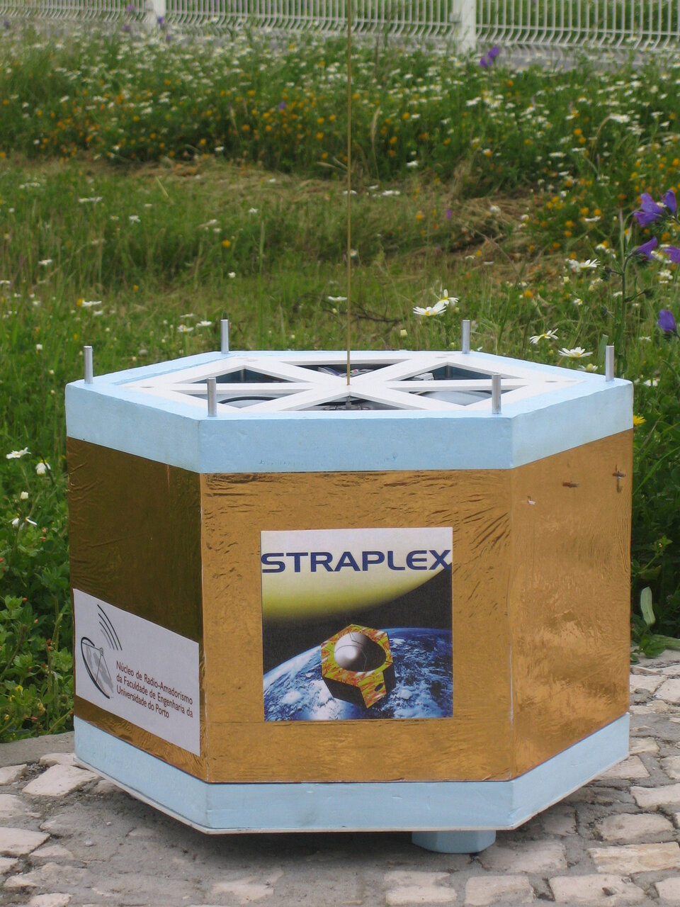 STRAPLEX capsule