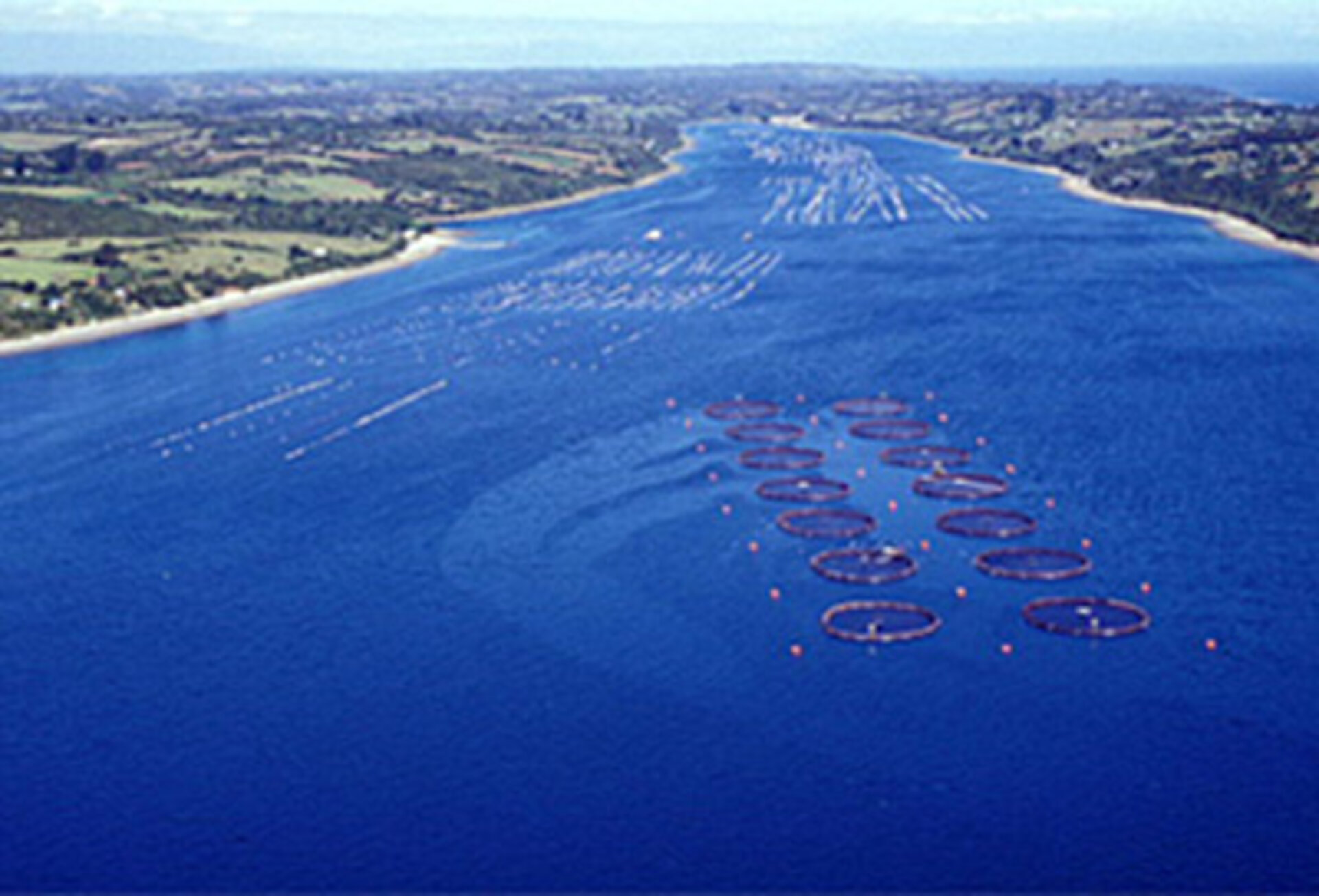 Salmon farms in Chile