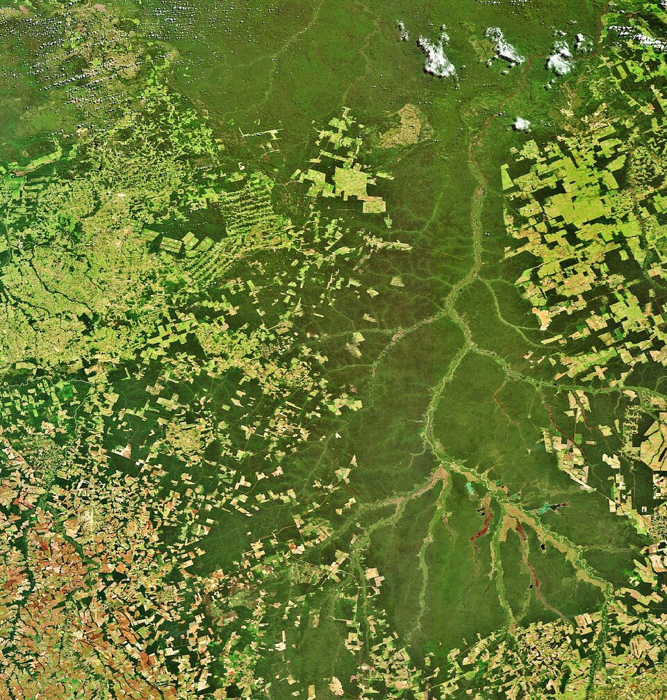 Deforestación en Brasil, vista desde el Espacio