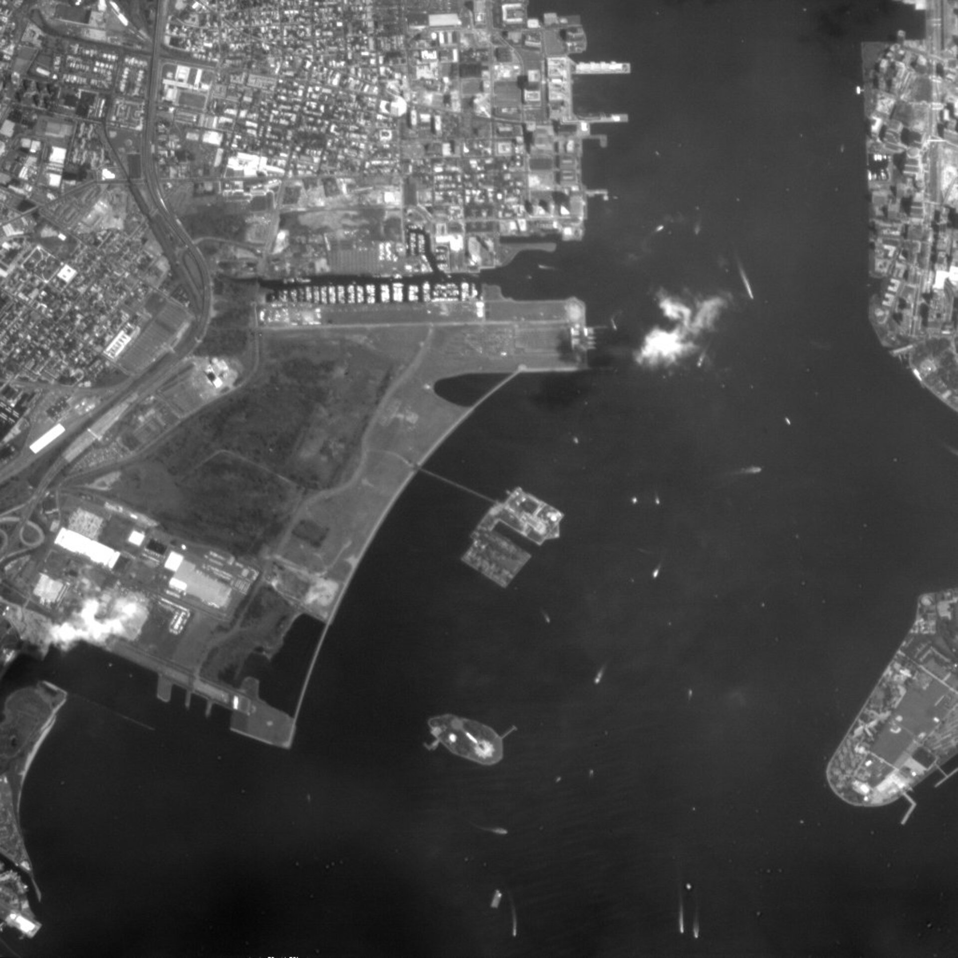 Proba image of Liberty Island and Ellis Island in the New York Harbour