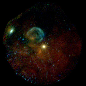 XMM-Newton view of supernova SN 1987A