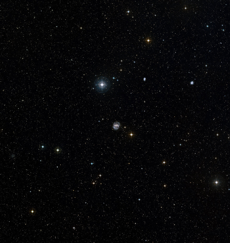NGC 1672 in Dorado