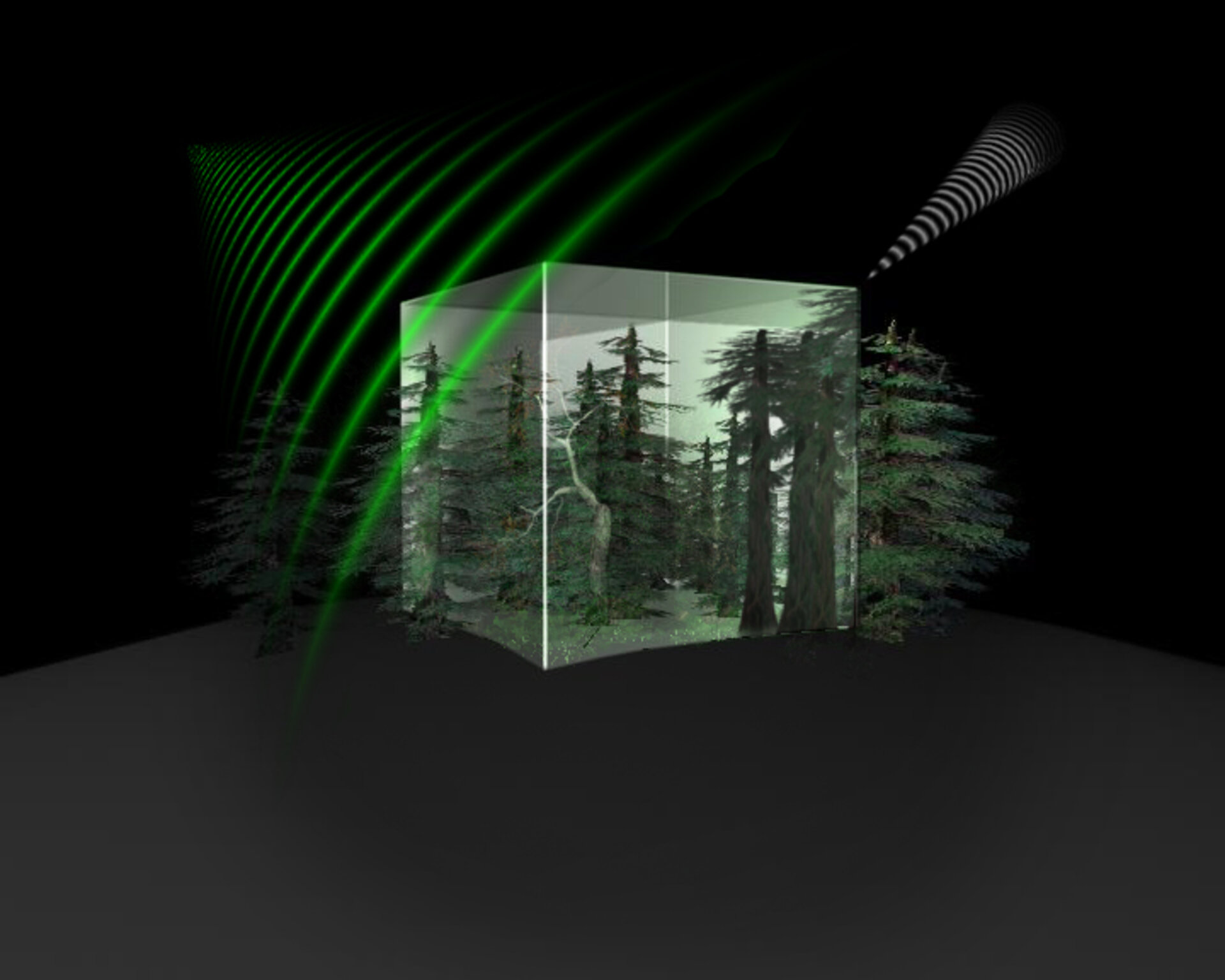 Biomass measuring concept