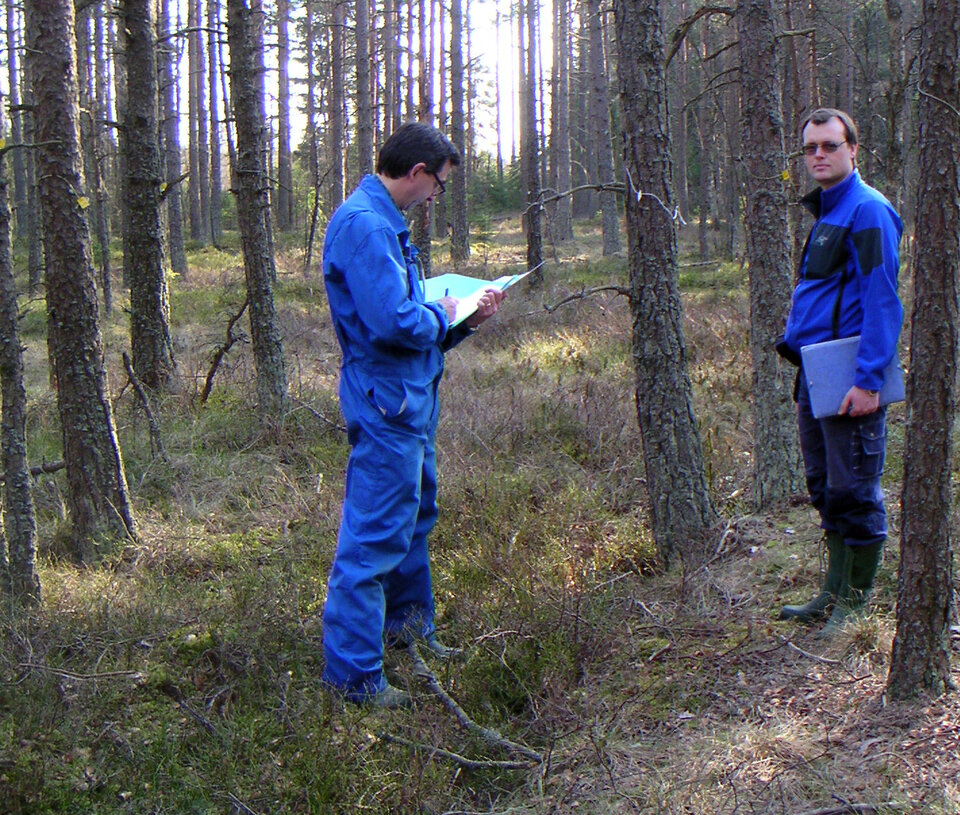 Recording forest characteristics