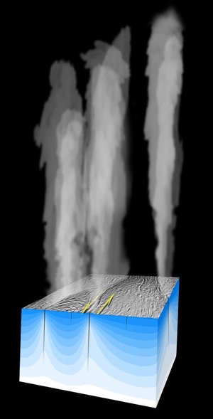Shear heating on Enceladus