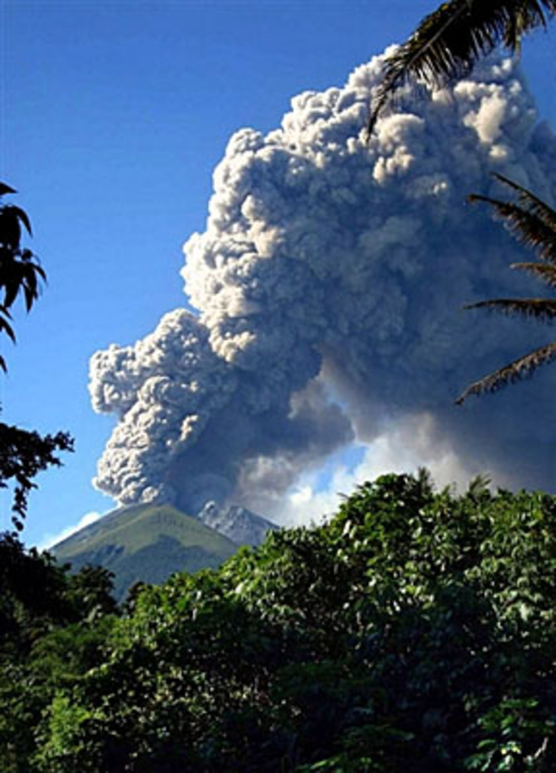 Plumes of ash from Mount Gamkonora