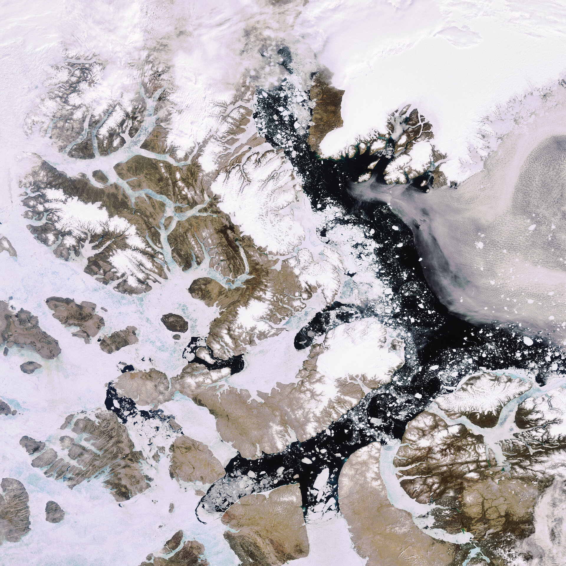 Summer ice in the Arctic