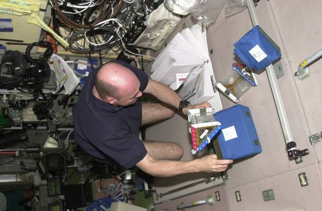 André Kuipers working on the GraPhoBox experiment on board the ISS